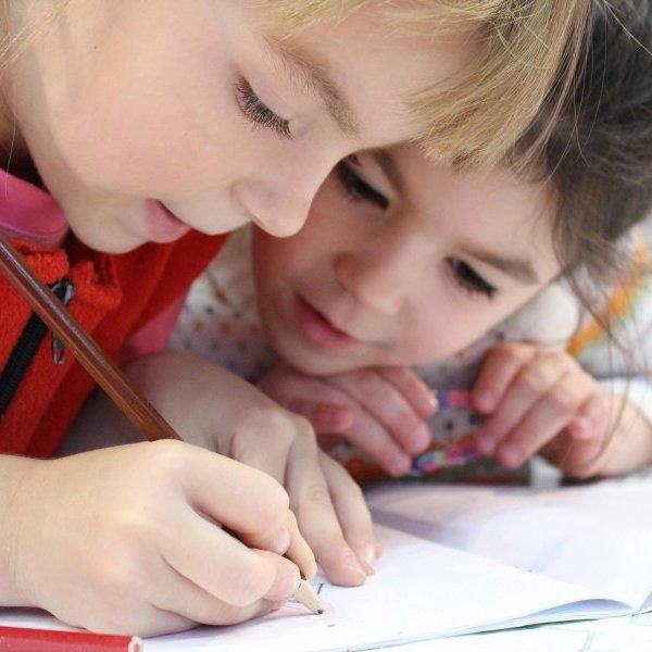 Le conseil d'école